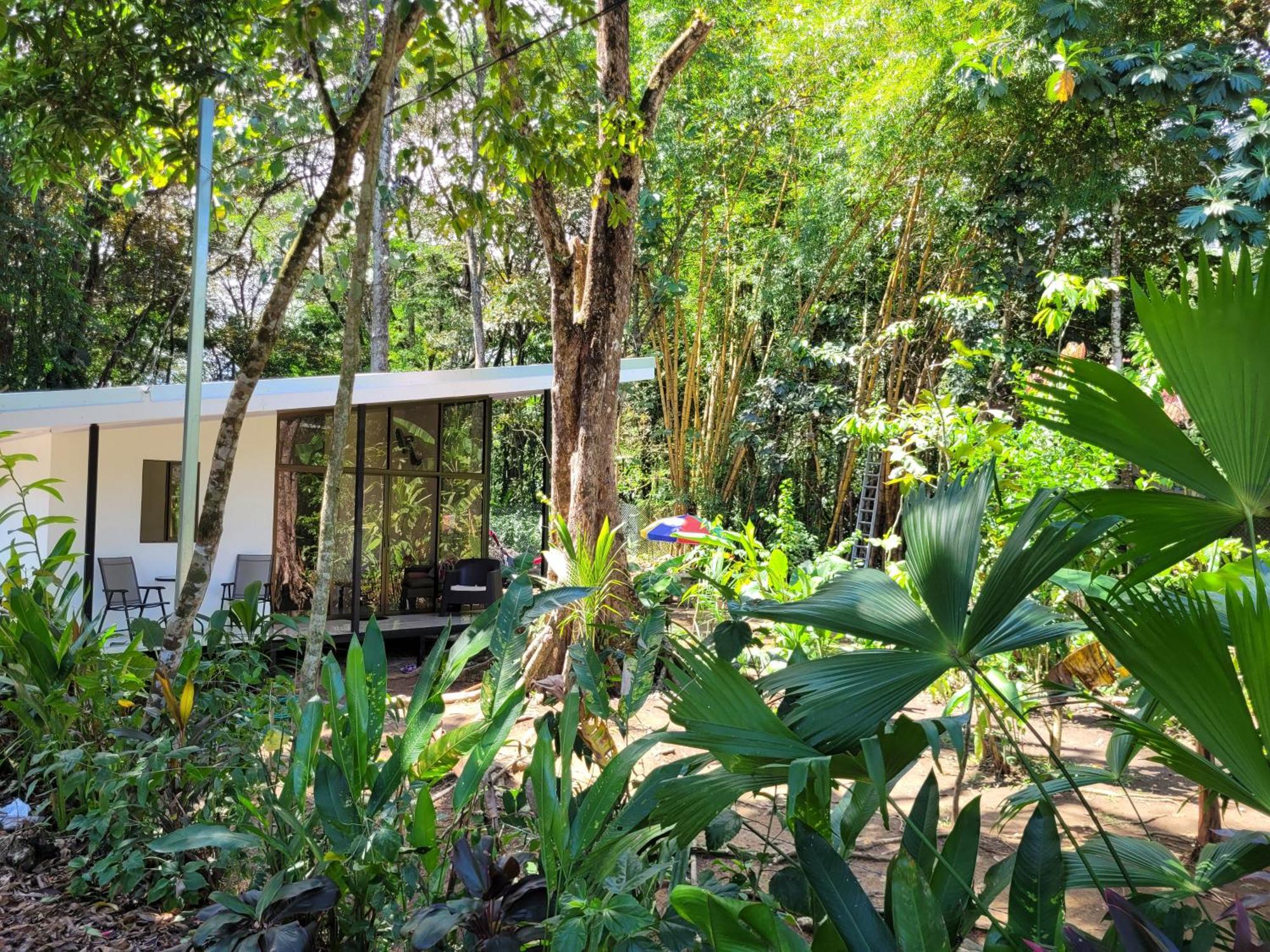Luba House Villa Puerto Jiménez Exterior foto